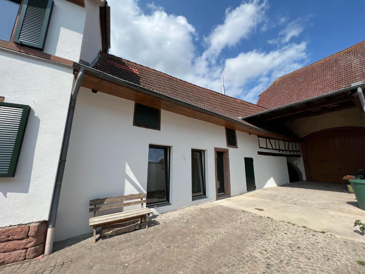 Restaurierter Altbau Mit Privatem Innenhof & Parkplatz Grossfischlingen Exteriör bild